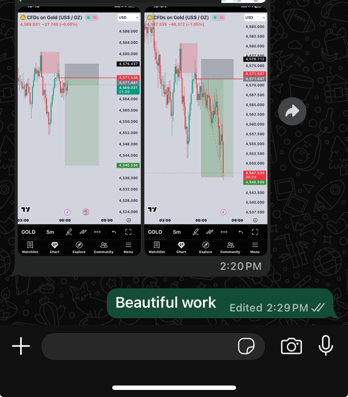 Student says Beautiful Work after seeing two Gold charts